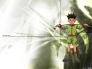 hunter 01 1024   630  (hunter 01 1024   ( Anime Wallpapers Hunter x Hunter  ) 630 )